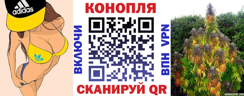 APVP Новый Уренгой