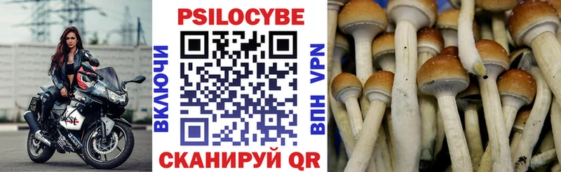Псилоцибиновые грибы ЛСД  Новый Уренгой 