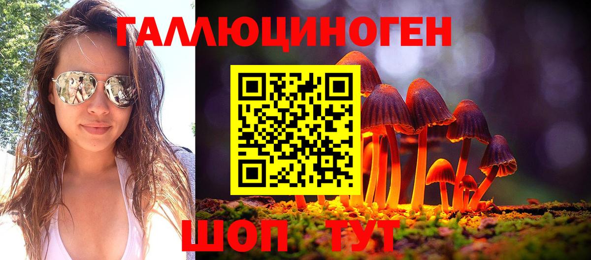 Галлюциногенные грибы Psilocybe Новый Уренгой