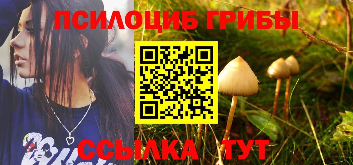 Псилоцибиновые грибы мухоморы  Вход с VPN  Новый Уренгой 